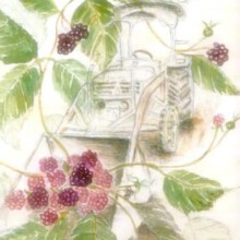 Birgit Nebe 2005 Birgit Nebe