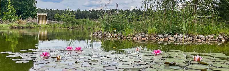 0004_Header_von_Elling_Juli_2026